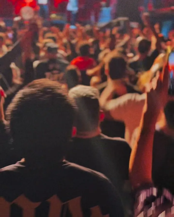 El público de un show visto desde el escenario